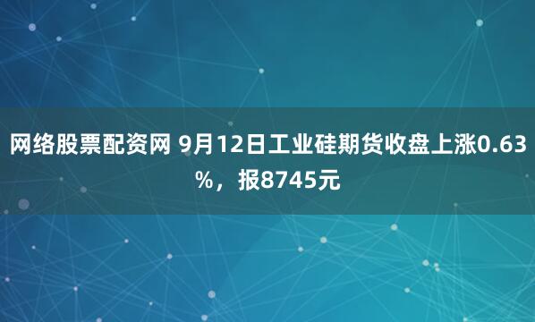 网络股票配资网 9月12日工业硅期货收盘上涨0.63%，报8745元