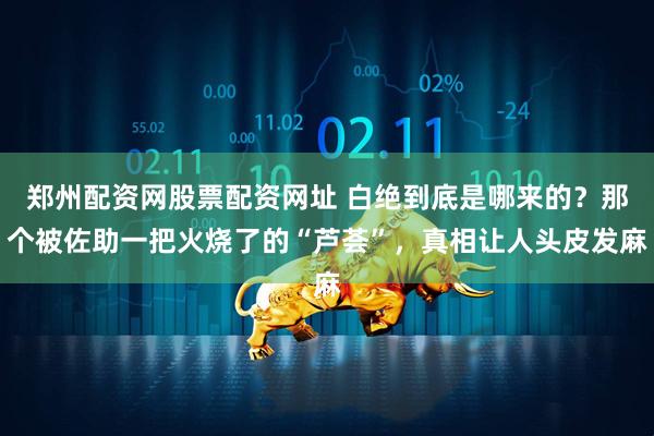 郑州配资网股票配资网址 白绝到底是哪来的？那个被佐助一把火烧了的“芦荟”，真相让人头皮发麻