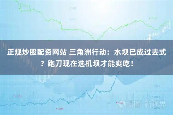 正规炒股配资网站 三角洲行动:水坝已成过去式?跑刀现在选机坝才能爽吃!